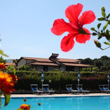 Agriturismo Ninea Ricadi Exterior foto